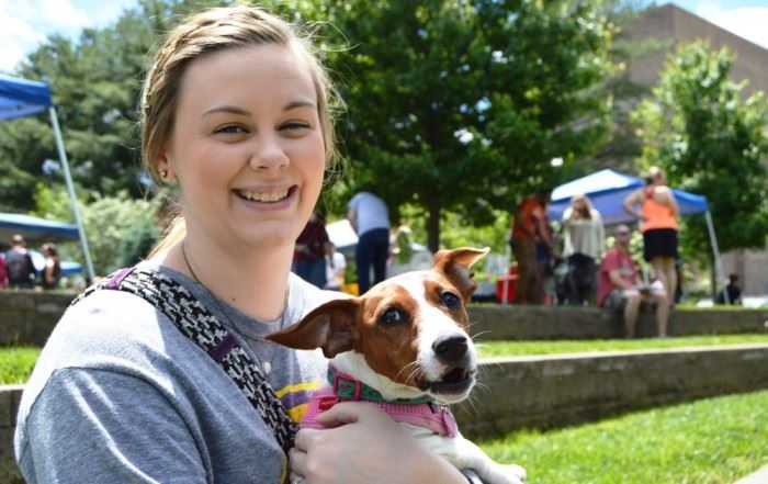 Dogapalooza is an event for dogs and the people who love them.