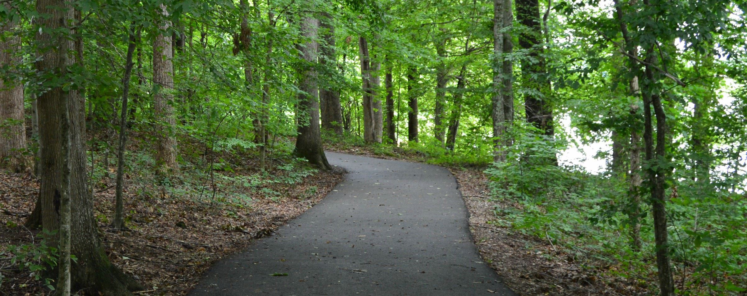 Cane Creek Park Trail