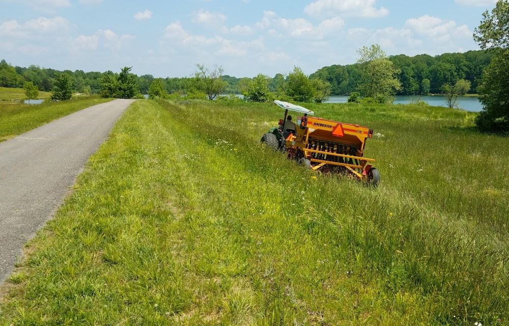 Pollinator field seeds are planted at Cane Creek Park.