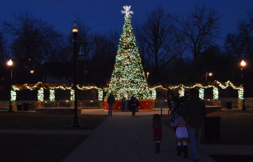 Dogwood Park tree lighting