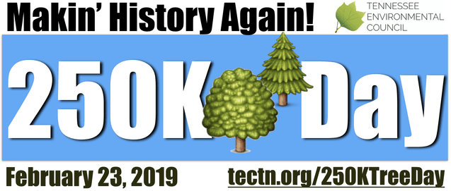 2019-250k-logo-image