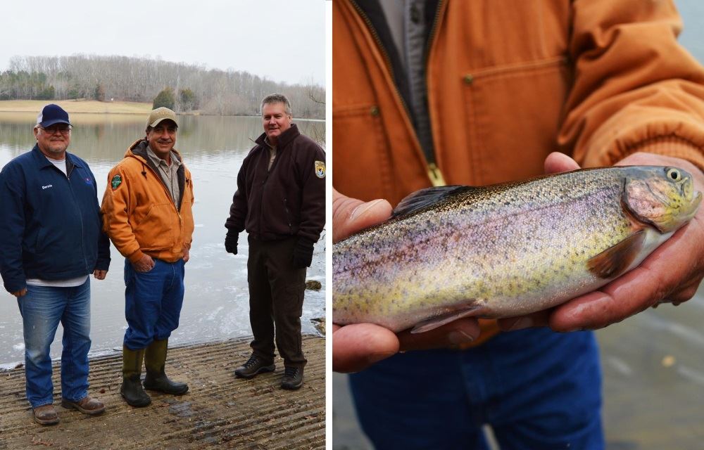 trout fishing at Cane Creek