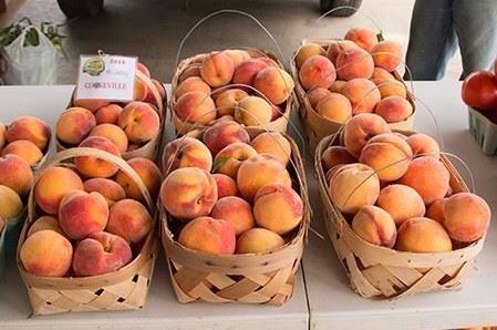 Peaches at Farmers Market
