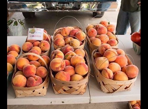 Peaches at Farmers Market