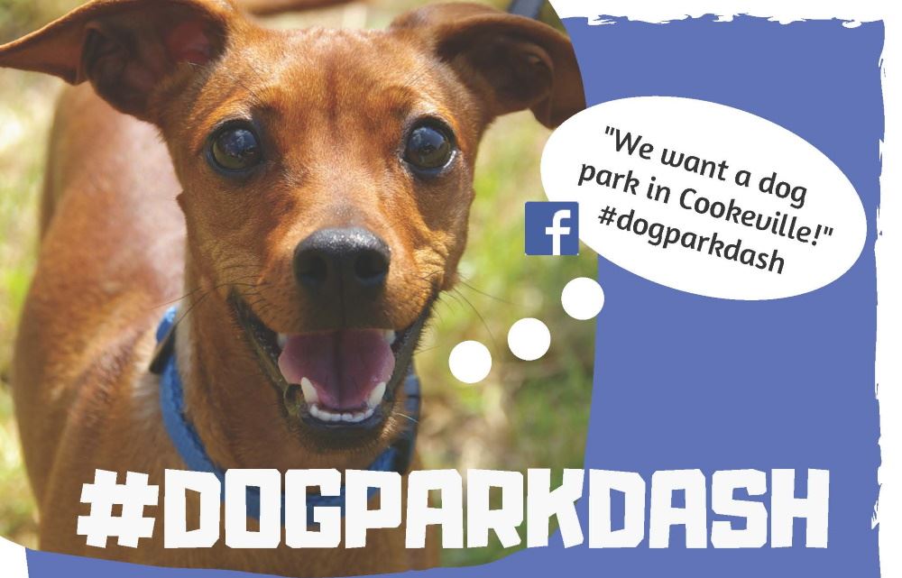 Cookeville wins dog park grant