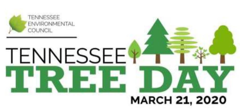 2020TreeDay-1