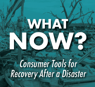 Disaster Brochure Graphic