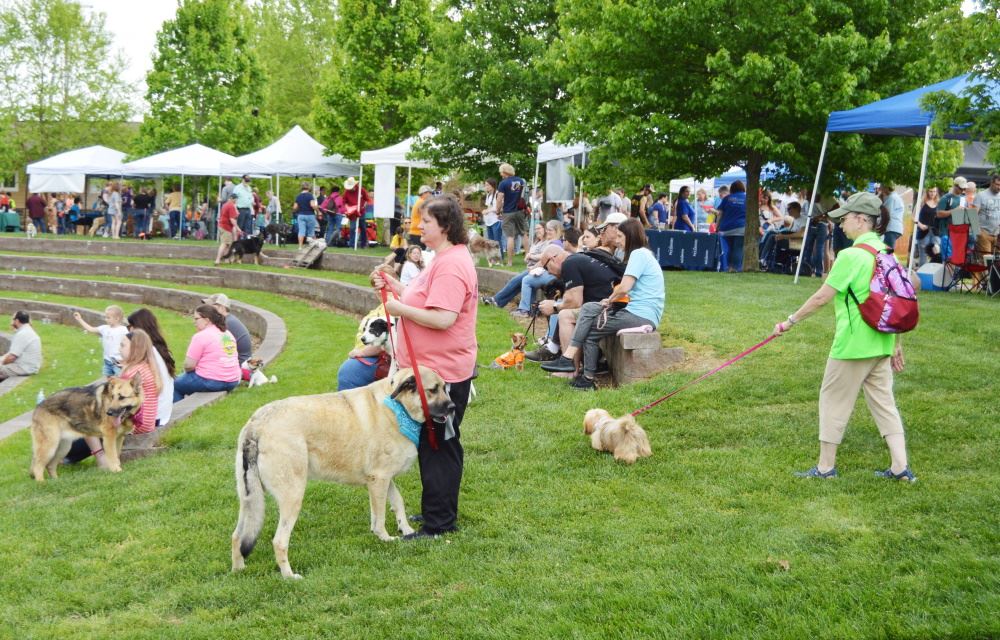 dogapalooza