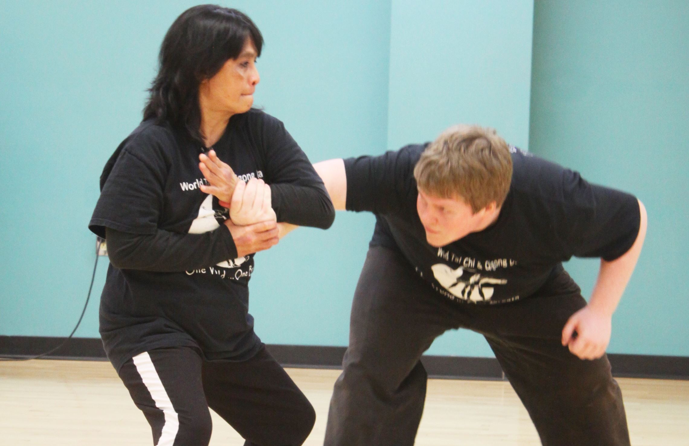 Instructor and student practice Tai Chi
