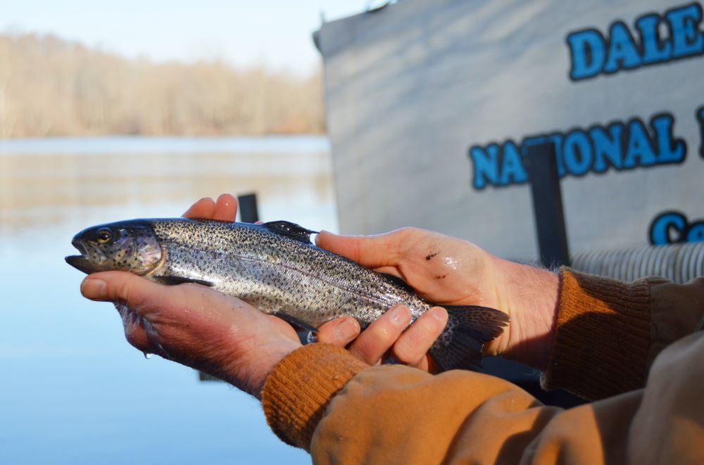 rainbow trout at Cane Creek Park