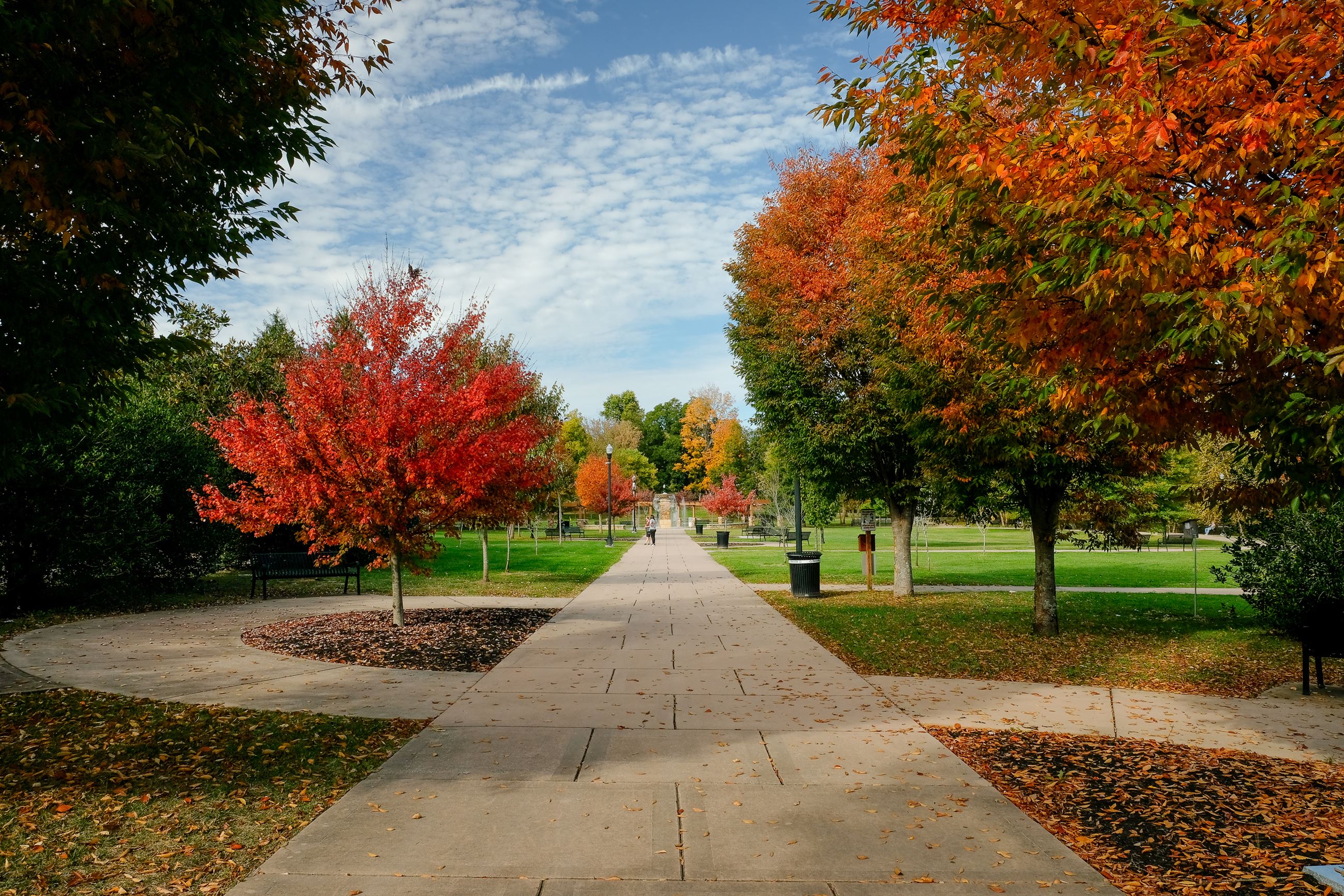 Dogwood Fall October 2023 (1 of 1)