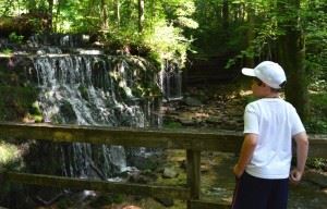 City Lake Natural Area