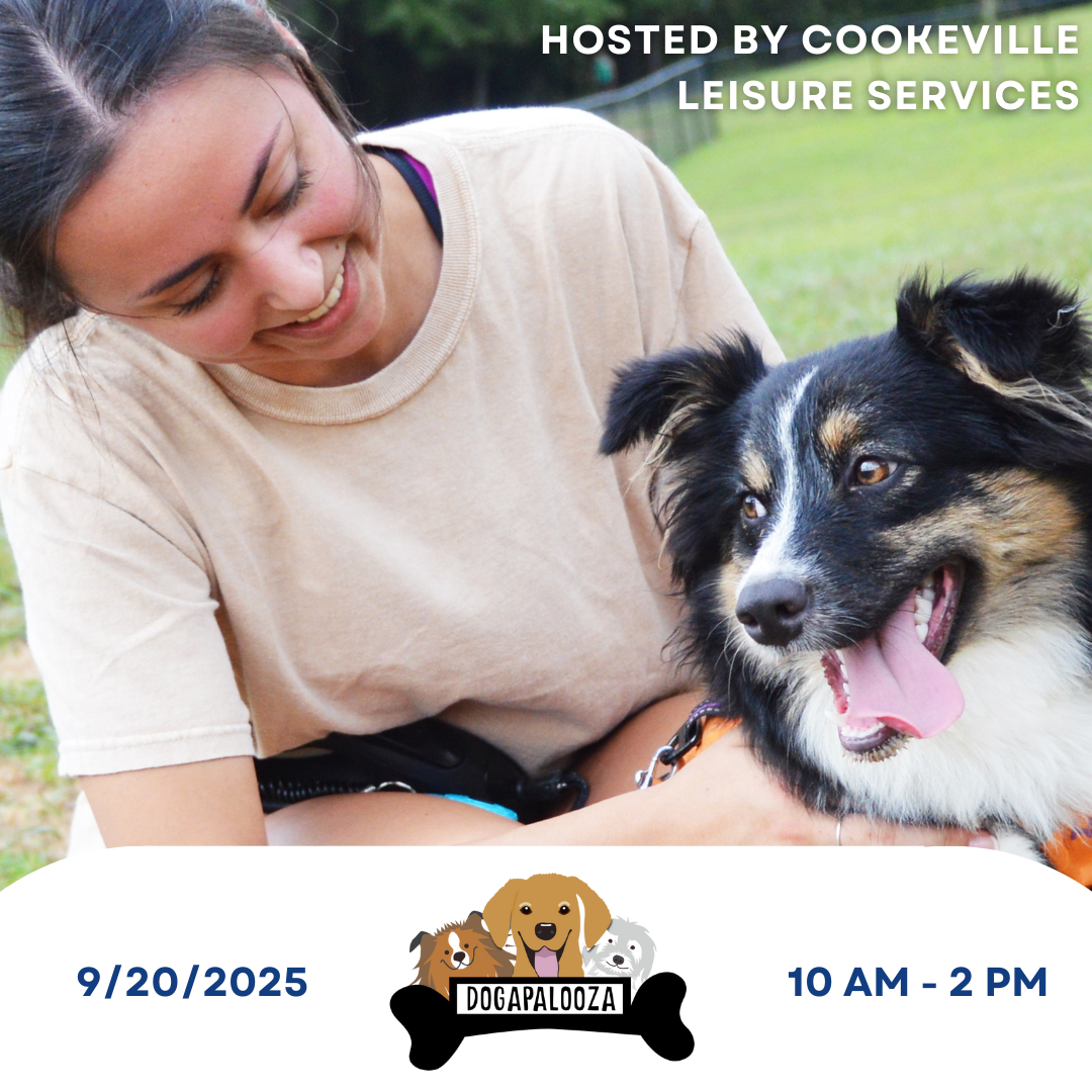 Image of dog for dogapalooza marketing 