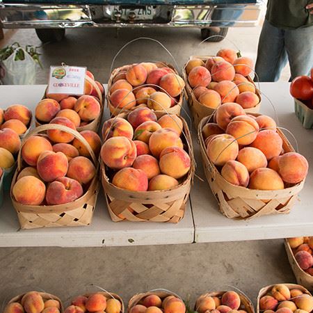 Peaches at Farmers Market